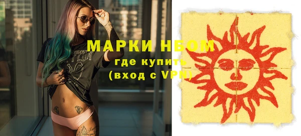 индика Верея