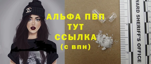 стаф Бронницы