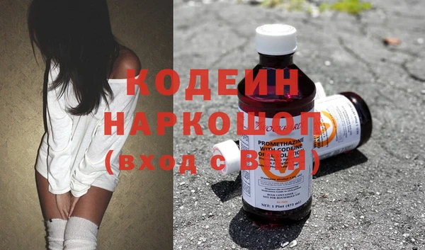 индика Верея