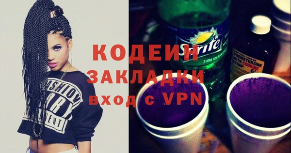 индика Верея