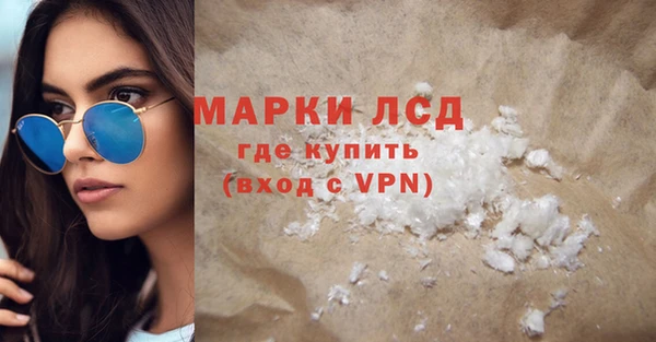 индика Верея