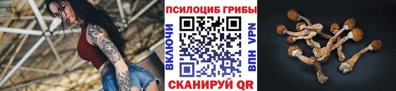 kraken как войти  купить закладку  Севастополь  Галлюциногенные грибы MAGIC MUSHROOMS 